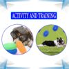 71nJ7jKBbL._SL1500_.jpg Woofy Pups&Pets Dog Squeaky Chew Toys For Aggressive Chewers | Dental Cleaning Non-Toxic Soft Natural Rubber Toy | Cute Crystal And Spiked Toy For Dogs (Ring Shape)