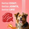 BARK OUT LOUD Protein Bars - Dog Treats with Chicken & Fish | Collagen, No Added Sugar | Pumpkin, High Fiber Snacks for Dogs | Helps Digestion, Muscle Growth & Shiny Coat - 35 GMS Each (Pack of 4)