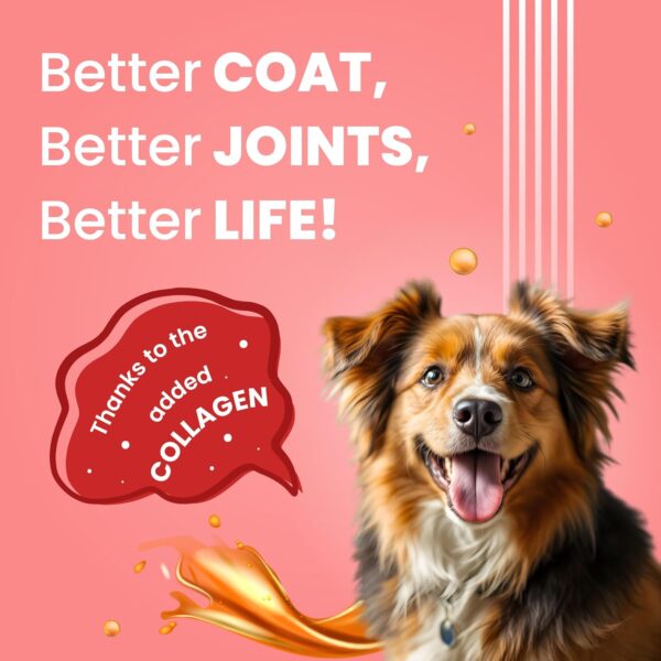 BARK OUT LOUD Protein Bars - Dog Treats with Chicken & Fish | Collagen, No Added Sugar | Pumpkin, High Fiber Snacks for Dogs | Helps Digestion, Muscle Growth & Shiny Coat - 35 GMS Each (Pack of 4)