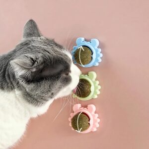 Catnip Wall Toys, Teeth Cleaning and Biting Balls for Cat/Kitten, Catnip Wall Toys, Teeth Cleaning and Biting Balls for Cat/Kitten, Edible Licking Chew Toy, Rotatable Indoor Cat Toy (Green,1 Pcs)