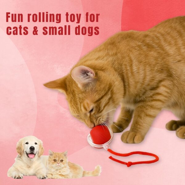 Interactive Rechargeable Smart Pet Chase Ball – Automatic Rolling Toy with Speedy Tail Rope for Bored Cats & Small Dogs (Colour May Vary)