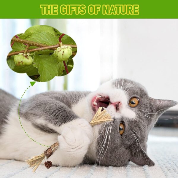 1 Pack Silvervine Cat Toy, Silvervine Sticks Cat Toys for Indoor Cats, Cat & Kitten Chew Toys for Aggressive Chewers, Cat Dental Toy for Kitten Teeth Cleaning, Matatabi Silvervine for Cats.