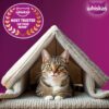 71oMo3E6nmL._SL1500_.jpg Whiskas Adult (1+ Years) Dry Cat Food, Mackerel Flavour, 1.2 kg, Contains 41 Essential Nutrients, Complete & Balanced Nutrition for Adult Cats