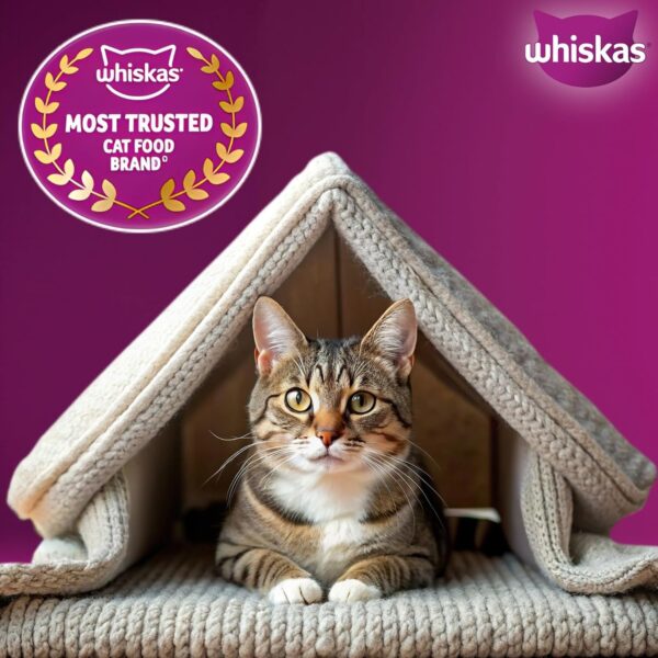 71oMo3E6nmL._SL1500_.jpg Whiskas Adult (1+ Years) Dry Cat Food, Mackerel Flavour, 1.2 kg, Contains 41 Essential Nutrients, Complete & Balanced Nutrition for Adult Cats