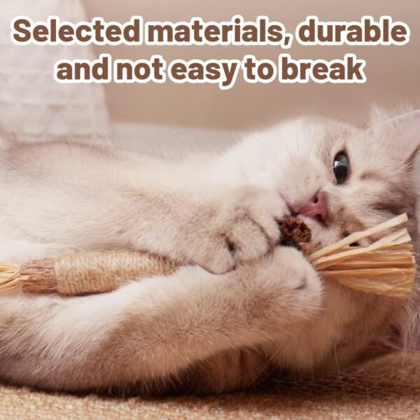 Cat Toys, 4Pcs Cat Chew Toy, Cat Playing Toys for Indoor, Stick for Cats with Sisal Rope and Gall Fruit, Natural Catnip Alternative
