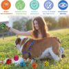 71oVZebfe3L._SL1500_.jpg PremiumAV Rubber Bouncy Ball for Pets – Durable Interactive Chew & Fetch Toy for Dogs & Cats, Versatile Fun Play Ball for Small to Large Breeds