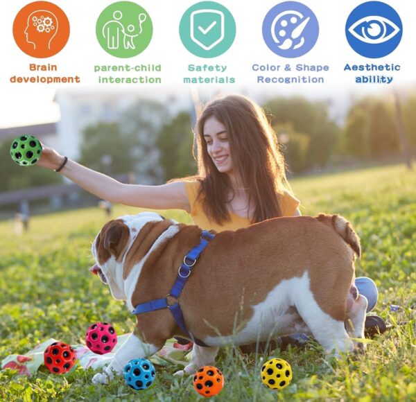 71oVZebfe3L._SL1500_.jpg PremiumAV Rubber Bouncy Ball for Pets – Durable Interactive Chew & Fetch Toy for Dogs & Cats, Versatile Fun Play Ball for Small to Large Breeds