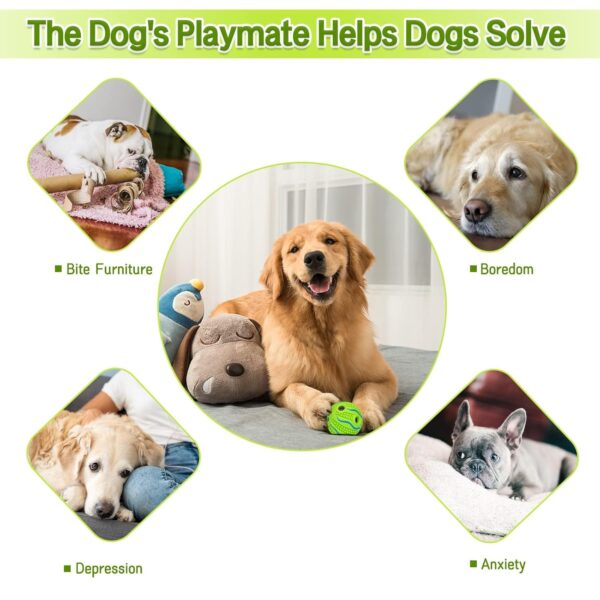 Dog and Puppy Toy Set - Chew, Teething, Rope, and Tug Toys for Small to Medium Dogs - Washable Cotton Pack of 12