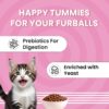 Bark Out Loud Essentials - Dry Kitten Food, Tailored Nutrition for Kittens, Fish & Chicken Kibbles with Added Taurine (1Kg)