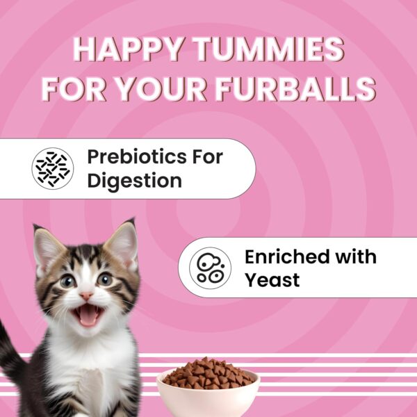 Bark Out Loud Essentials - Dry Kitten Food, Tailored Nutrition for Kittens, Fish & Chicken Kibbles with Added Taurine (1Kg)