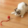 HobbyLobby Interactive Rolling Chewie Ball for Cats & Dogs Smart 360� Automatic Rolling Pet Toy Chewie Doggie Ball for Small & Large Pets Fun Exercise & Play
