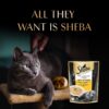 Sheba Fine Premium Adult (1+ Years) Wet Cat Food, Tuna Pumpkin & Carrot in Gravy, 70 g Pouch, High-Moisture Gravy cat Food for Healthy Hydration