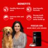 71qXZCESBiS._SL1500_.jpg Drools Focus Adult Super Premium Dry Dog Food, Meat Flavour, 1.2kg