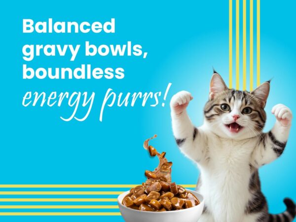 BARK OUT LOUD - Wet Cat Food Fresh Mackerel & Tuna | Omega Enriched, Salmon Oil, Taurine | No Sugar Gravy Cat Food for All Breeds | 85g (Pack of 6)