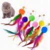 Sunkizzrs® Cat Toys - Interactive Toy Set with Retractable Teaser Sunkizzrs® Cat Toys - Interactive Toy Set with Retractable Teaser Wands and Feather Toys - Activity Toys to Exercise Cats and Kittens (Only 6 Feather Balls Replace Heads)