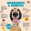 71qoK0SrHJL._SL1080_.jpg Nootie Freshly Wholesome Meal All Natural Wet Dog Food | Gluten Free I Non Vegetarian | Human Grade Ingredients, Made with Real Chicken-300g (Chicken Biryani)