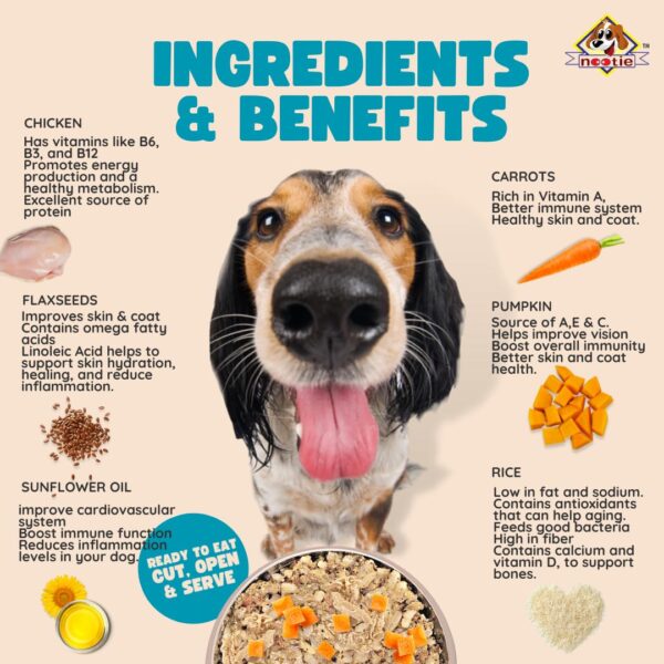 71qoK0SrHJL._SL1080_.jpg Nootie Freshly Wholesome Meal All Natural Wet Dog Food | Gluten Free I Non Vegetarian | Human Grade Ingredients, Made with Real Chicken-300g (Chicken Biryani)