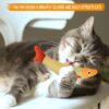 71qyzJssXQL._SL1500_.jpg RvPaws Catnip Fish Toys for Cats,1 Pcs Pack Catnip Toy Interactive Plush for Indoor Cats Toys with Bell - Scratch Chewing Teeth Grinding Pillow Cleaning Kick Bite Resistant for Kitten Toy