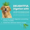 71rY0thP-L._SL1500_.jpg Bark Out Loud Adult Dry Dog Food, Chicken & Ancient Grains | Low Grain Dry Dog Food for Medium & Large Breeds | High Protein Kibbles with Prebiotics, Super Herbs, Antioxidants & Fibre 2 kg