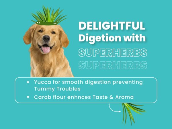 71rY0thP-L._SL1500_.jpg Bark Out Loud Adult Dry Dog Food, Chicken & Ancient Grains | Low Grain Dry Dog Food for Medium & Large Breeds | High Protein Kibbles with Prebiotics, Super Herbs, Antioxidants & Fibre 2 kg