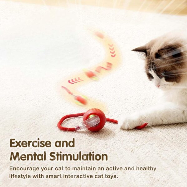 71rAqZcDZ8L._SL1500_.jpg Automatic Rolling Cat Ball Toy, 2-Speed Modes, Teasing Tail & Bell Charm, Interactive Self Play Chasing Silicone Ball Toy for Indoor Cats