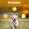 Pedigree Puppy Dry Dog Food, Chicken & Milk, 20 kg, Contains 37 Essential Nutrients, 100% Complete & Balanced Food for Puppies