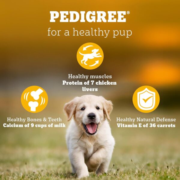 Pedigree Puppy Dry Dog Food, Chicken & Milk, 20 kg, Contains 37 Essential Nutrients, 100% Complete & Balanced Food for Puppies