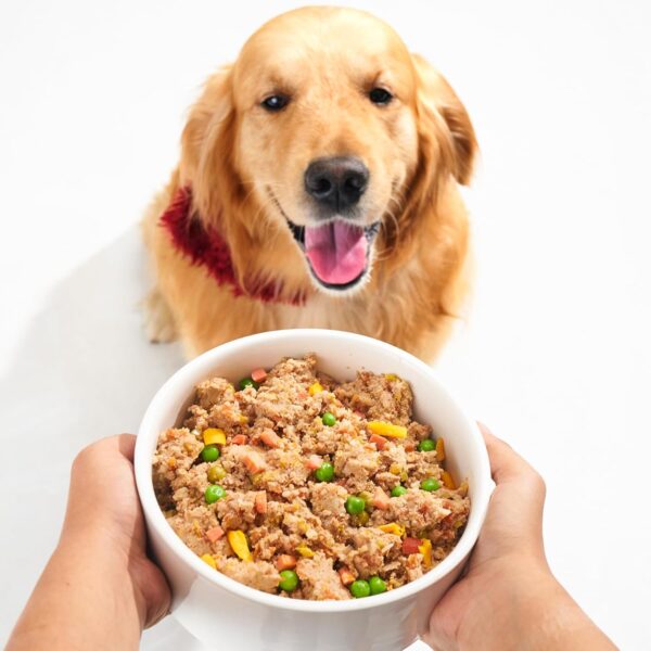 Benny's Bowl Fresh & Wet Dog Food - Chicken & Rice - 5 Packs x 100 G,All Life Stages