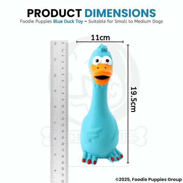 71s6LdYNbTL._SL1500_.jpg Foodie Puppies Natural Latex Rubber Squeaky Dog Toy - (Blue Duck) | Small Dogs & Puppy | Durable, Animal Design, Fetch & Chew Safe Play Toy | Reduce Separation Anxiety