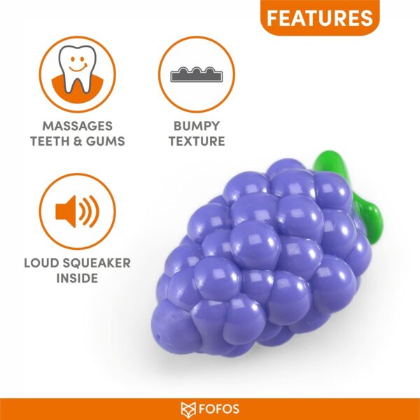 71sJ2B8CgL._SL1500_.jpg BarkButler x FOFOS Fruity-Bites Loud Grape- Chew & Squeaky Toys for Dogs, Dog Toys for Large Dogs (10-30kgs) - Purple