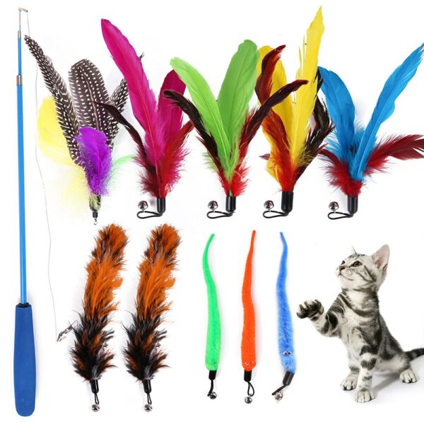Qpets® Cat Interactive Toys Set with Retractable Teaser Wands and Qpets® Cat Interactive Toys Set with Retractable Teaser Wands and Feather Worm Toys Kitten Toys Variety of Vibrant Colours Activity Toys to Exercise Cats and Kittens