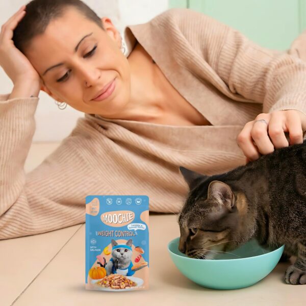 PETS EMPIRE Moochie Tasty Wet Cat Food (85 g Pack X 5) Grain Free Cats Gravy Meal, No Artificial Flavours Kitten Food, Non-Vegetarian Cat Foods Pouch, All Flavours Mix for Adults & Kittens