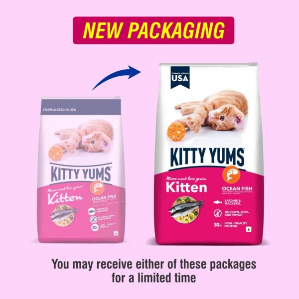 Kitty Yums Kitten(1-12 Months) Dry Cat Food, Ocean Fish, 1.2kg Pack