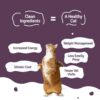 71scMa6kgVL._SL1500_.jpg BLEP Mackerel Tun Tuna and Sardine Combo of Natural Cat Food 100g | 3 Packs|Zero Preservatives|Aids Joint Health & Digestion|Collagen Rich| Human Grade, Natural Wet Cat Food|Ideal for All Breeds
