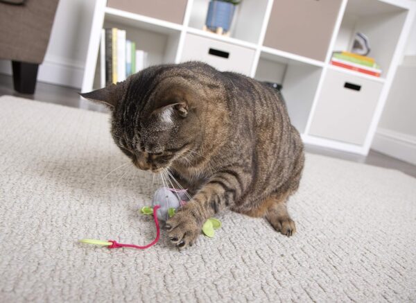 The Pets Company Bouncy Mouse Hunt Cat Toys | Natural Instinct Chase & Play Toy for Cats & Kittens, Pack of 2