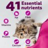 71t-4TSmxQL._SL1500_.jpg Whiskas Junior Mother Cat & Kitten (2-12 Months) Dry Cat Food, Mackerel Fish Flavour, 450 g, Contains 41 Essential Nutrients, Complete & Balanced Nutrition for Mother Cats & Kittens