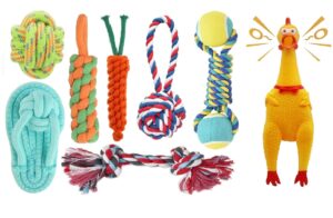 Dog Toy Set - Tail, Chew, and Rope Toys for Dog Toy Set - Tail, Chew, and Rope Toys for Small to Medium Dogs - Tug Toy Pack of 8