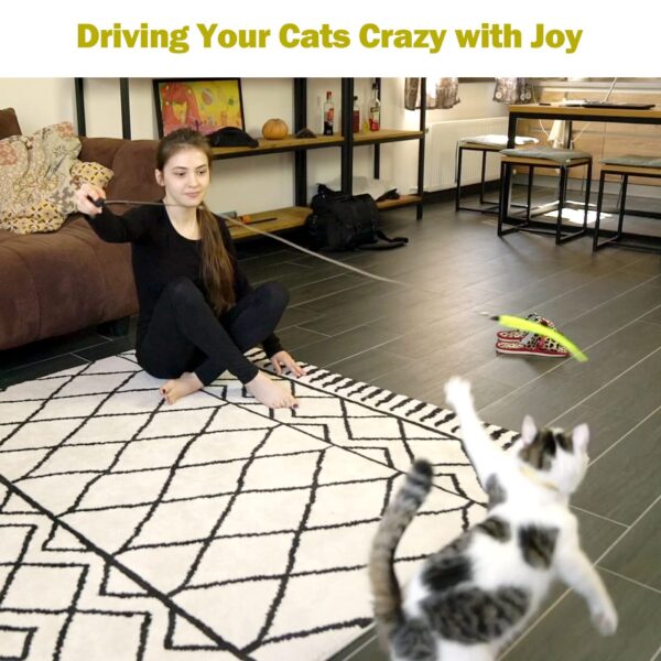 Cat Feather Toy