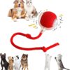 Interactive Rolling Dog Toy – 360° Electric Smart Rolling Ball for Dogs – Automatic Pet Ball with Lights – Fun Exercise Toy for Small & Medium Dogs (Style 3)