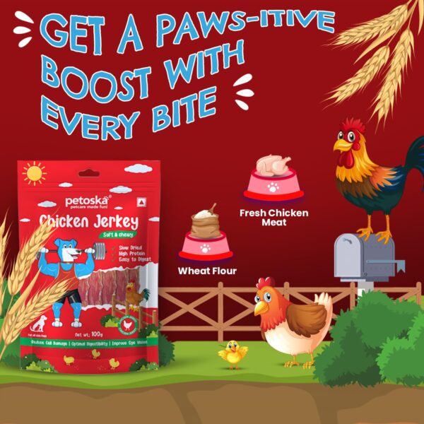 Chicken Jerky- 100gms | Dog Treats Made with Real Chicken Meat | Highly Nutritious | Easy to Digest | Improved Eye Vision | Suitable for All Dog Breeds | Pack of 1