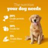 71tcljqvcIL._SL1500_.jpg Pedigree Adult Dry Dog Food, Chicken & Vegetables, 10 kg, Contains 37 Essential Nutrients, 100% Complete & Balanced Food for Adult Dogs