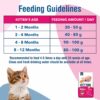 Kitty Yums Kitten(1-12 Months) Dry Cat Food, Ocean Fish, 1.2kg Pack