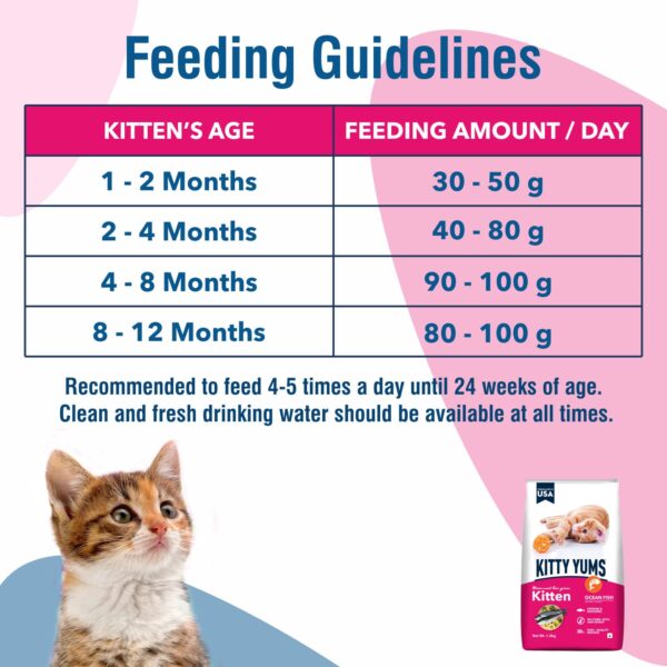 Kitty Yums Kitten(1-12 Months) Dry Cat Food, Ocean Fish, 1.2kg Pack