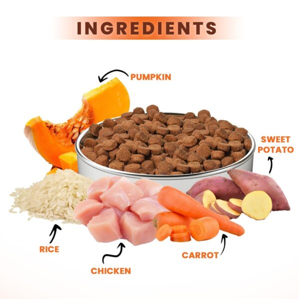 71uQrejdJ8L._SL1500_.jpg Dry Dog Food Adult 20kg | High Protein Chicken, Rice, Vegetables| 39 Essential Nutrients| Healthy Skin Shiny Coat, Strong Bones & Muscles| Complete Balanced Pure Pet Food for Pedigree Dog