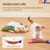 71uduZNTTML._SL1500_.jpg RvPaws Catnip Fish Toys for Cats,1 Pcs Pack Catnip Toy Interactive Plush for Indoor Cats Toys with Bell - Scratch Chewing Teeth Grinding Pillow Cleaning Kick Bite Resistant for Kitten Toy