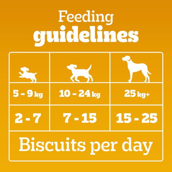 Pedigree Biscrok Biscuits (Above 4 Months) Dog Treats, Chicken with Milk Flavour, 900 g, Source of Calcium, Goodness of 15% Protein