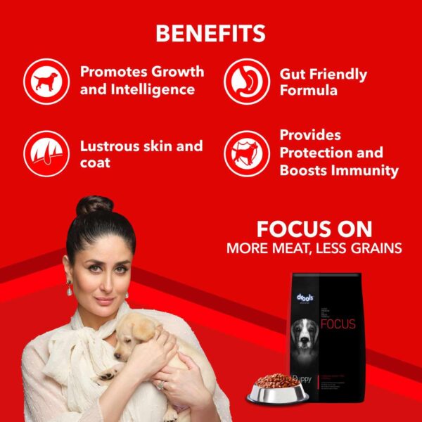 71ufySs-fwL._SL1500_.jpg Drools Focus Adult Super Premium Dry Dog Food, 12 kg (+1kg Free Inside), Total 13 Kg Pack