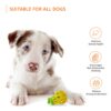 Amazon Basics Dog Toys (Set of 3) - Red Hole Ball, Squeezy Pear Fruit Toy and Twisted Pull Ring | Interactive Play for Dogs & Puppies