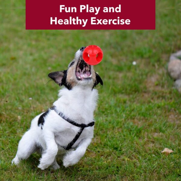 Meat Up Non-Toxic Rubber Hole Ball Toy, Puppy/Dog Teething Toy - 7.62 cm Pack