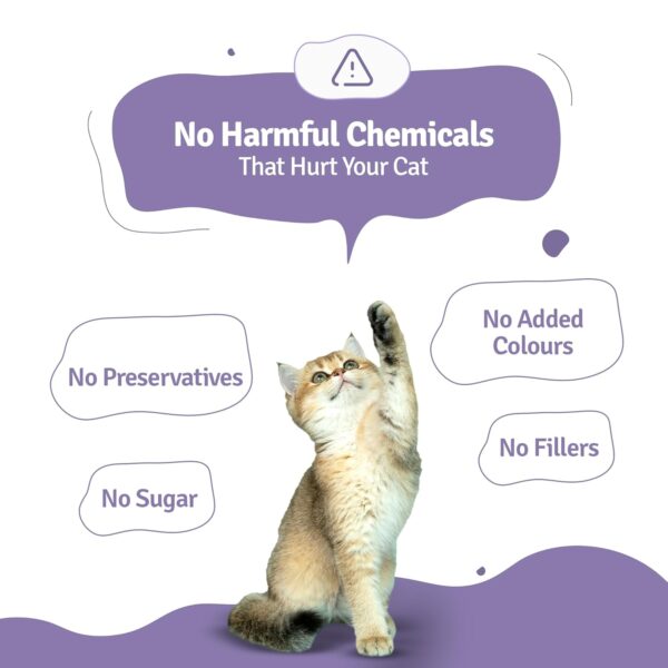71vUp2vkvSL._SL1500_.jpg BLEP Cat Food | 700g | Cat Wet Food, Food for Adult & Kitten, High Protein, Omega 3&6, Contains Mackerel, Chicken, Fish Oil, Flex Seeds, Zero Preservatives, Digestible, Human Grade(7Packs of 100g)